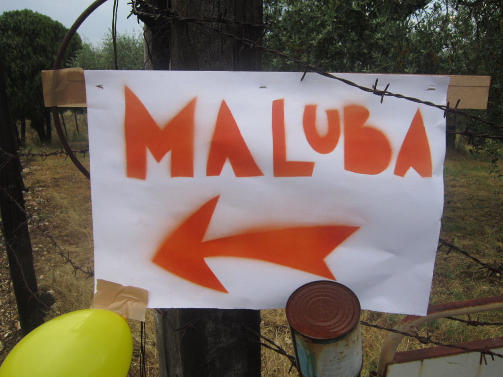 Segui Maluba!